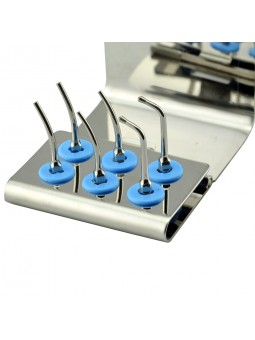 Easyinsmile EPRKS EMS Woodpecker Dental scaler Tip Scaler Prosthetics Kit  Silver CS1 CS2 CS3