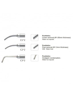 Easyinsmile EPRKS EMS Woodpecker Dental scaler Tip Scaler Prosthetics Kit  Silver CS1 CS2 CS3