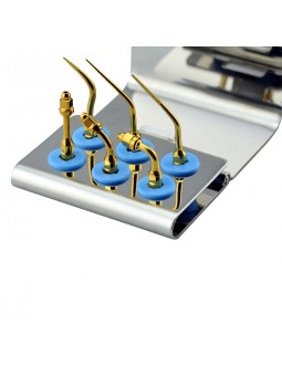 Easyinsmile SEKG SATELEC NSK Woodpecker-DTE Dental scaler Tip Scaler Endo Kit Gold EDOT ED1T ED2T ED3T PD4DT ED3DT