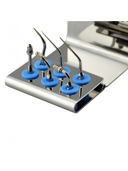 Easyinsmile SEKS SATELEC NSK Woodpecker-DTE Dental scaler Tip Scaler Endo Kit Silver EDO ED1 ED2 ED3 PD4D ED3D