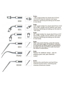 Easyinsmile SEKS SATELEC NSK Woodpecker-DTE Dental scaler Tip Scaler Endo Kit Silver EDO ED1 ED2 ED3 PD4D ED3D