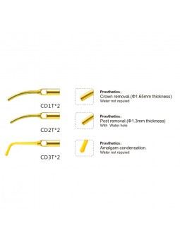 Easyinsmile SPRKG SATELEC NSK Woodpecker-DTE Dental scaler Tip Scaler Prosthetics Kit  Gold CD1T CD2T CD3T