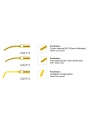 Easyinsmile SPRKG SATELEC NSK Woodpecker-DTE Dental scaler Tip Scaler Prosthetics Kit  Gold CD1T CD2T CD3T