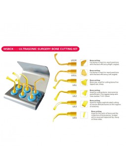 Easyinsmile WSBCK DENTAL DENTAL ULTRASONIC SURGERY BONE CUTTING KIT COMPATIBLE FO MECTRON PIEZOSURGERY/WOODPECKER ULTRASURGERY