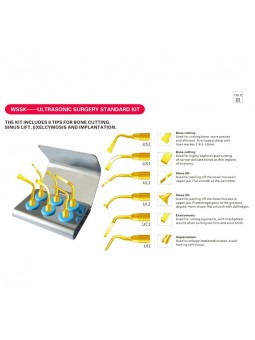 Easyinsmile WSSK DENTAL ULTRASONIC SURGERY STANDARD KIT SURGERY TIP COMPATIBLE FO MECTRON PIEZOSURGERY/WOODPECKER ULTRASURGERY