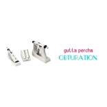 gutta percha in dentistry|gutta percha dentistry|gutta percha filling|endodontic obturation|obturation system