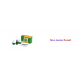 cemento de vidrio ionomero|cemento ionomero de vidrio|cemento vidrio ionomero|vidrio ionomero